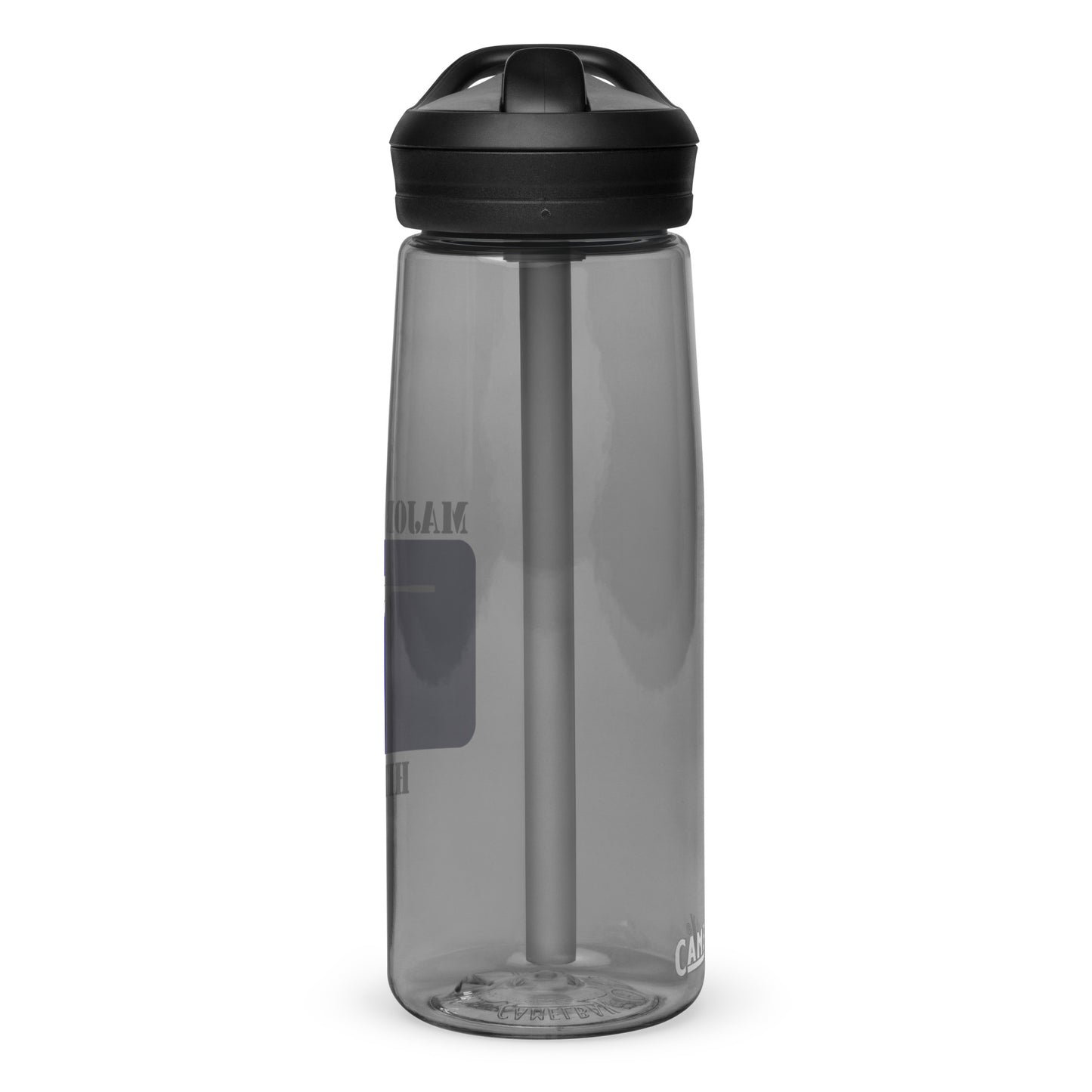 Major League Hitter Sports water bottle